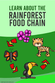 Desert Food Web Food Chain Deserts Stock Vector (Royalty Free) 2015884466 |  Shutterstock