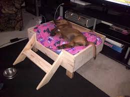 Raised and elevated dog beds are important for your dog's comfort, but they can be overpriced for something you could build at home. 26 Best Diy Pet Bed Ideas And Designs For 2021