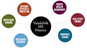 Msf Circle Chart Vanderbilt Business School