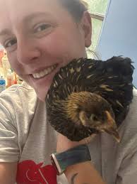 What breed is my chicken Pantalones?