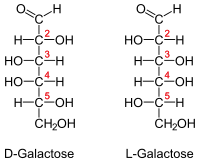 Галактоза — Википедия