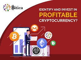 Best cryptocurrency to invest in 2021: Identify And Invest In Profitable Cryptocurrency Factors To Be Considered While Investing In Icos By Bitica Digital Crypto Currency Medium