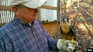 Ancient Sport Flies High in 21st Century