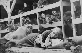 Obóz koncentracyjny auschwitz) was a complex of over 40 concentration and extermination camps. Auschwitz The Holocaust Encyclopedia