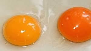 Check spelling or type a new query. Uova Scadute Cosa Succede Se Si Mangiano Idee Green