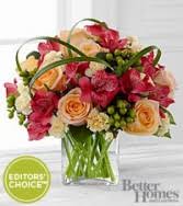 Maybe you would like to learn more about one of these? Fairfield Flowers Blossoms At Dailey S Flower Shop 203 336 1895 Fairfield Florist