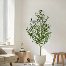 Selected Olive Treee