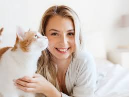 Why Do Cats Groom Each Other? Reasons Why Cats Socially Groom