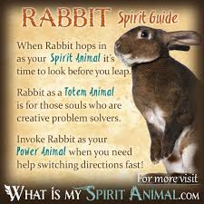 Rabbit Symbolism Meaning Spirit Totem Power Animal Animal Totem Spirit Guides Spirit Animal Meaning Rabbit Symbolism