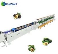 Avocado Processing Equipment Avocado Processing Line Avocado Sorter Grader  Avocado Sorting Machine
