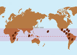 コーヒーベルト：イラスト無料