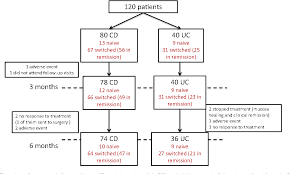 Figure 1 From Effectiveness And Safety Of Ct P13 Biosimilar