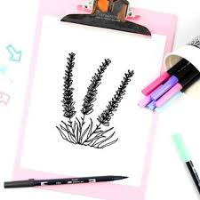 What kind of doodles do you use for lavender? Lavender Drawing 7 Easy Steps To A Perfect Lavender Doodle