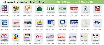 Image result for tv pakistan