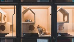 If you are moving to any location within india we are there to assist you in your pet. Cocomomo Urban Pets Hotel