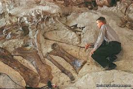 We did not find results for: Misteri Kewujudan Manusia Sebelum Adam Islam Itu Indah