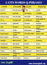 Latin Words 50 Cool Latin Words And Phrases You Should Know Love English In 2020 Latin Words Word Web Words