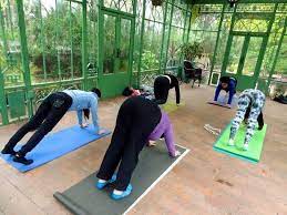 Maybe you would like to learn more about one of these? 11 Unique Places To Practice Yoga In Denver The Denver Ear