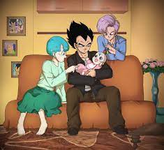Vegeta And Bulma Photo Vegeta Bulma Anime Dragon Ball Vegeta And Bulma Dragon Ball
