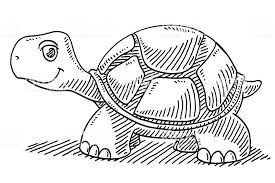 Turtles are adorable, with their silly shells and a head and legs that pop out of the shell. Hand Drawn Vector Drawing Of A Cute Cartoon Turtle Black And White Turtle Drawing Cartoon Turtle Cute Turtle Drawings