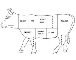 Free Anatomy Clipart Cow Download Free Clip Art On Owips Com