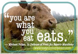 Image result for omnivore's dilemma