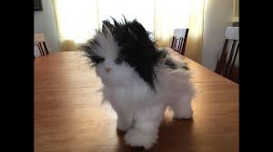 Furreal Lulu S Walkin Kitty Without Fur Youtube