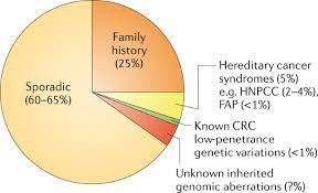 Though not true in all cases, the majority of colorectal cancers generally develop over time from adenomatous (precancerous) polyps. Global Burden Of Colorectal Cancer Emerging Trends Risk Factors And Prevention Strategies Nature Reviews Gastroenterology Hepatology