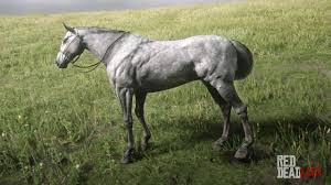 The regular breeds can be encountered in. Rdr2 Horses Thoroughbred Dapplegreythoroughbred Red Dead Redemption Horses Horses Red Dead Online