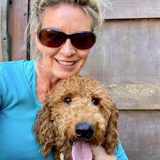 TOP 10 BEST Dog Off-Leash Training near Homosassa, FL