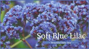 Blue carnations have a short history, but, like many other flowers, can carry a special meaning. Funeral Flowers And Their Meanings The Ultimate Guide Funeral Flowers Organic Gardening Books Flower Meanings