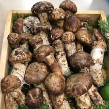 喰切料理 八方