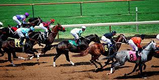 Racing Start For Two Year Old Thoroughbreds Not Detrimental