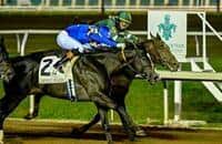 Image result for Vermillion 1991 Tempo