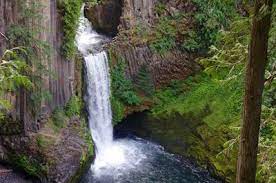 We did not find results for: Toketee Falls Hike Hiking In Portland Oregon And Washington