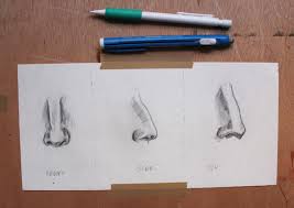 Noses have different sizes and shapes, so the more you practice, the better your face drawings will be. How To Draw A Nose Step By Step Tutorial Craftsy