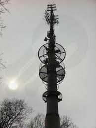 Image result for tv svizzera