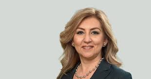 Karla Nava: Recomendaciones para un futuro sostenible y transformativo en  México