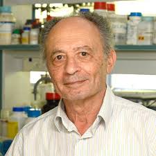 Molecular Chemistry and Materials Science