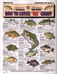 Fish Chart With Info On How To Catch Them Fish Fish