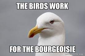 The Birds Work For The Bourgeoisie Stuff That Didn T Happen Seagull Make A Meme