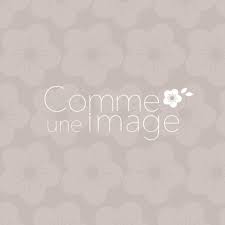 Création graphique, identité visuelle, logo, charte une image vaut mille mots, affirmait confucius dans sa grande sagesse. Comme Une Image Home Facebook