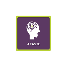 Het is niet uit te leggen als je. Afasie Vvl