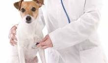 Strutture veterinarie – Ordine Medici Veterinari