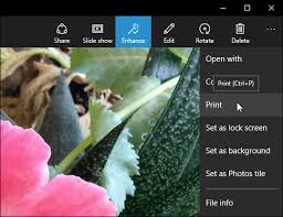 Looking for photo editing software free download? How To Print From Photos And Other Windows 10 Apps