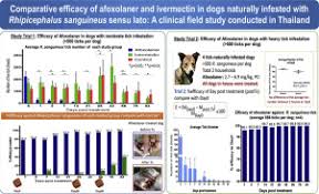 Sometimes it just takes time. Comparative Efficacy Of Afoxolaner And Ivermectin In Dogs Naturally Infested With Rhipicephalus Sanguineus Sensu Lato A Clinical Field Study Conducted In Thailand Sciencedirect