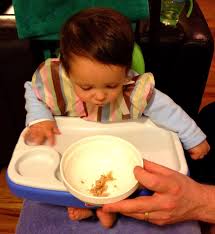 Carrots are easy to digest and make a good first food for your little. Introducing Indian Food To Babies Big Apple Curry