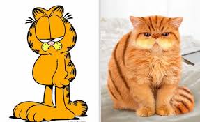 Pelajari nama dan suara hewan laut: Gemasnya Animasi Garfield Hingga Squidward Di Dunia Nyata