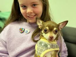 Blue Peter award for Abigail