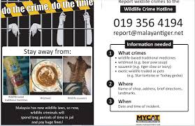 6 of 1997) wildlife regulations 1998 in exercise of the powers conferred upon him by section 105 of the wildlife conservation enactment 1997, the minister of tourism and environmental development has made the following regulations: Wwf Malaysia Welcomes Tougher Sentencing Applied For Wildlife Crimes Vietnam Times